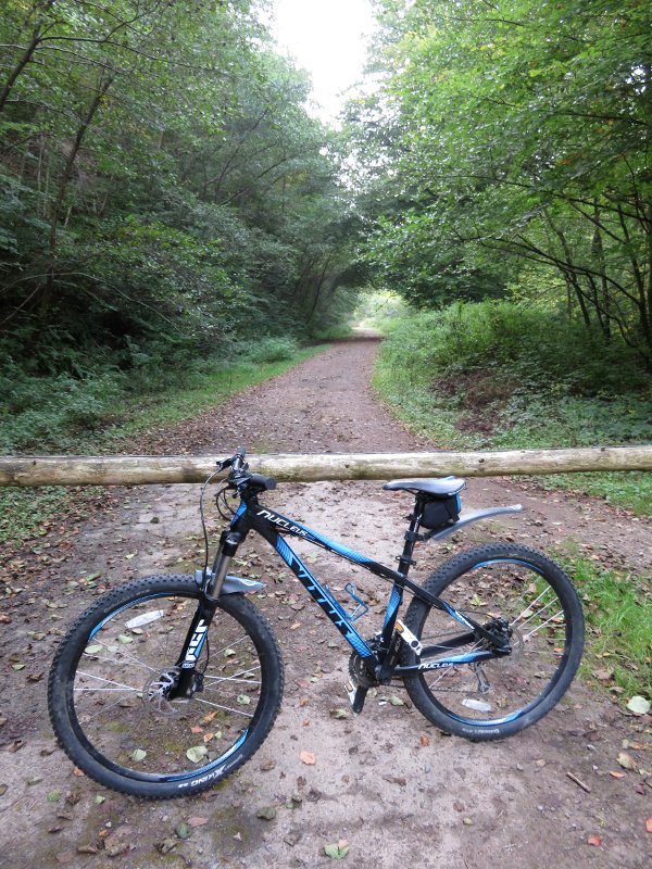 bike leaning on something