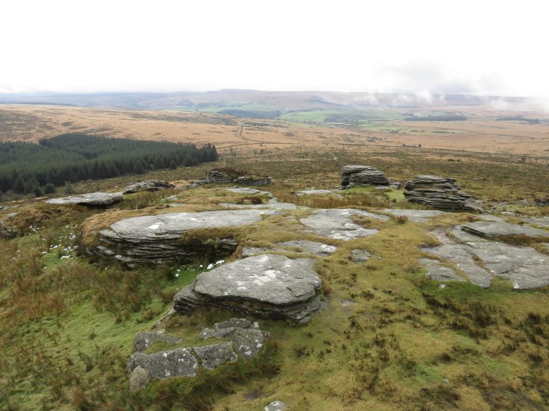 view from Bellever Tor