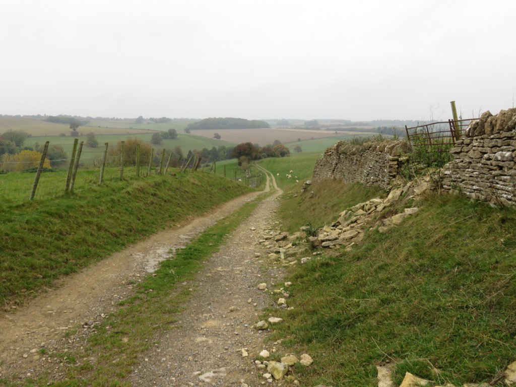 fields and track