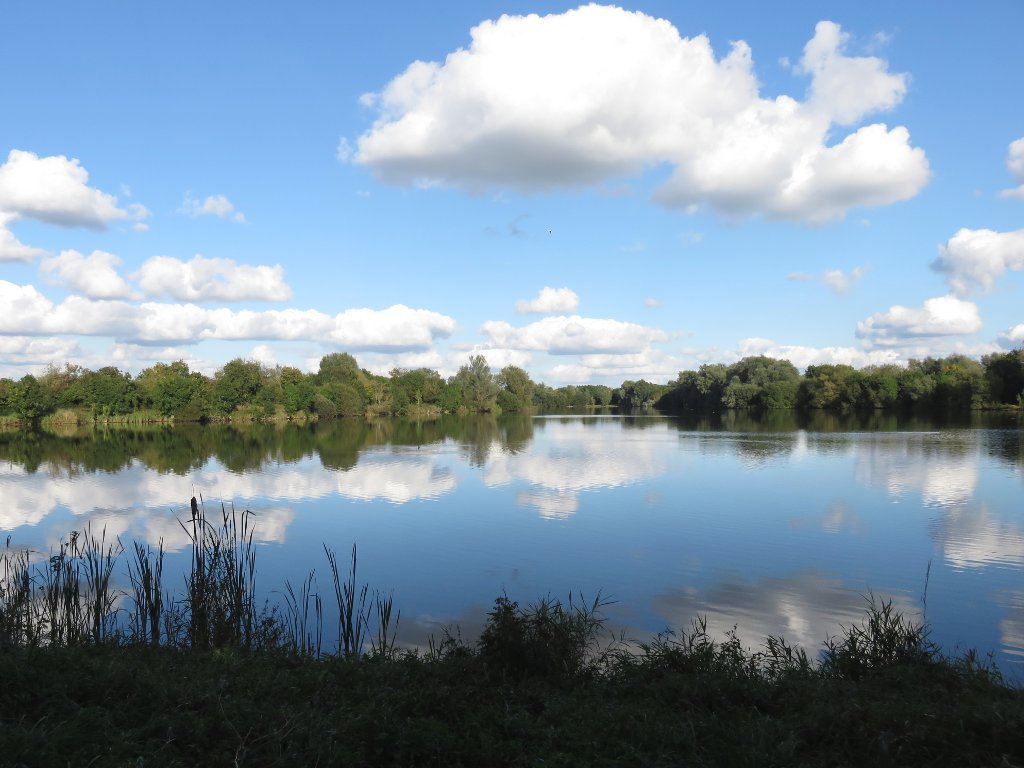 reflections on a lake