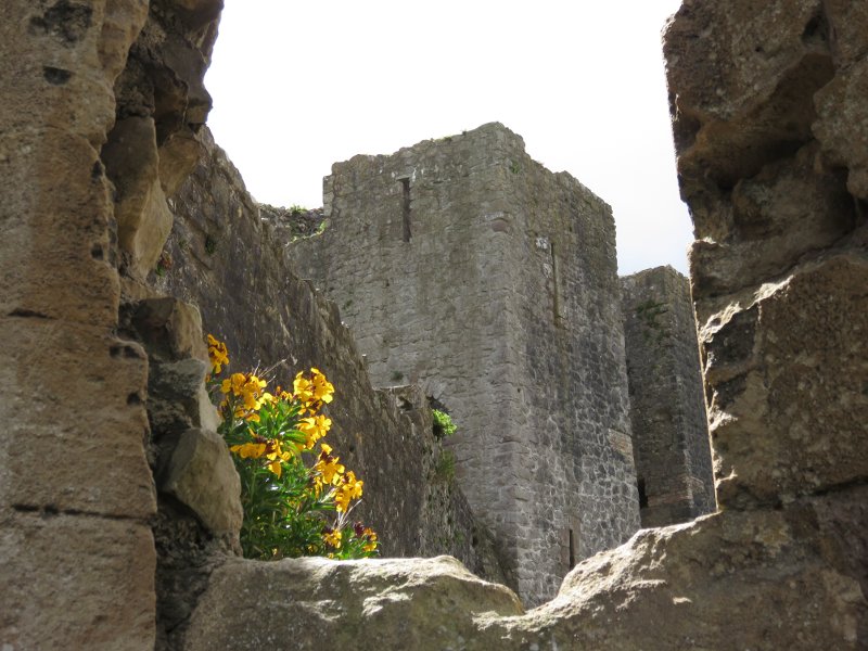 castle walls and flowers