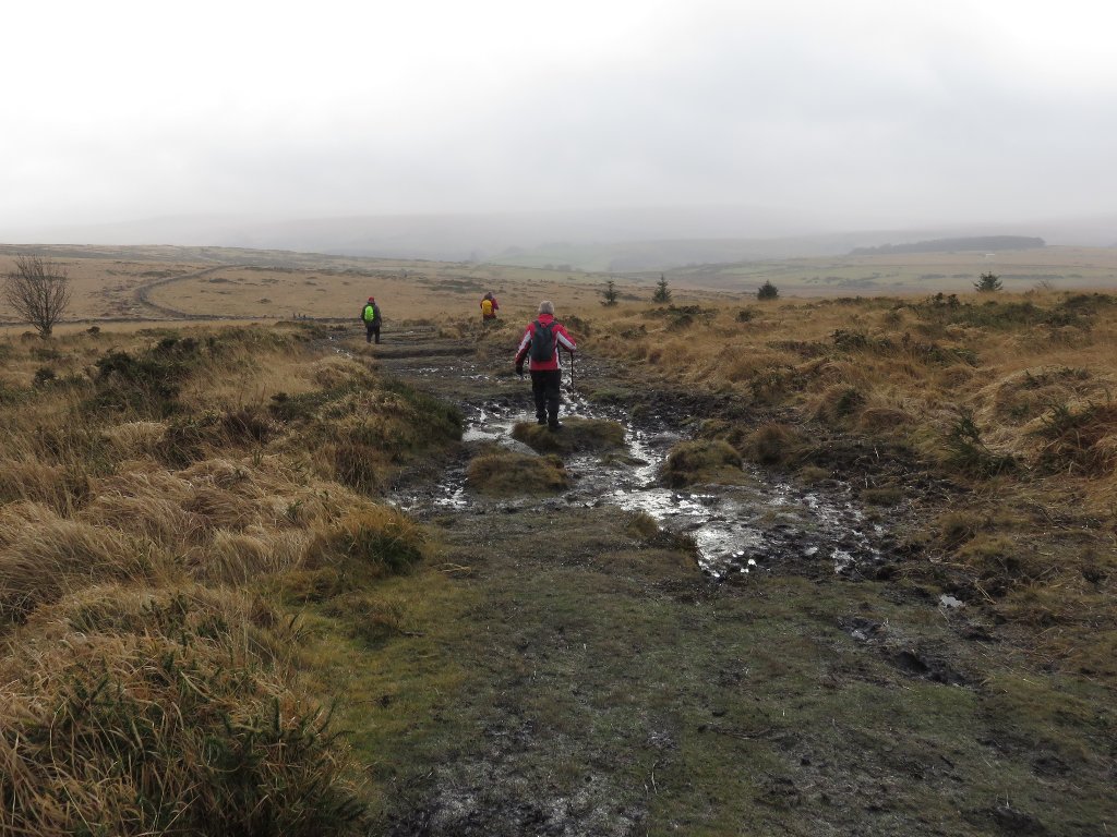 mud on Bellever Tor