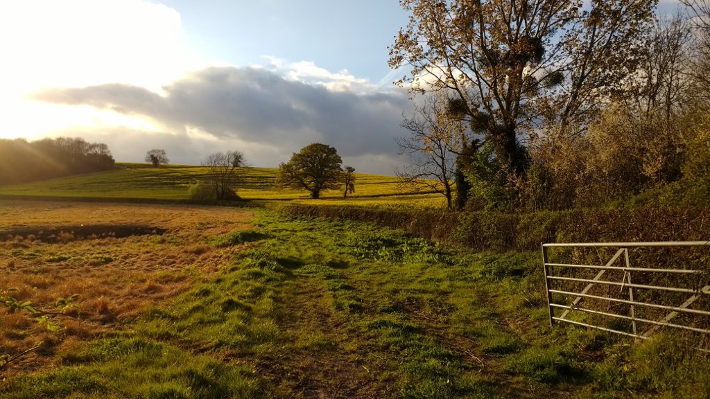 sunset over fields in Elmore