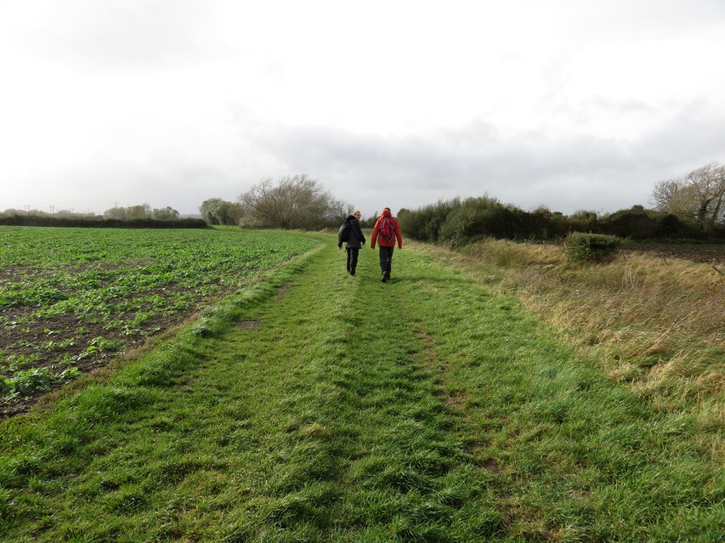 Glevum way, through fields