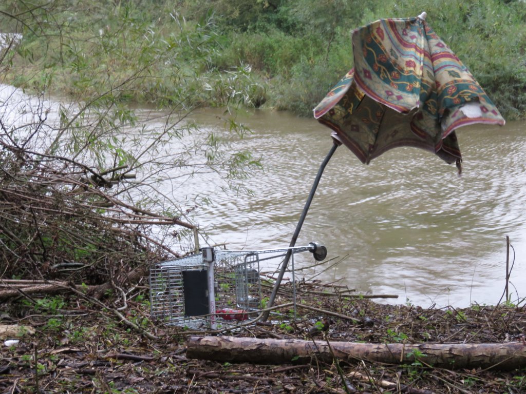 dumped trolley and rubbish