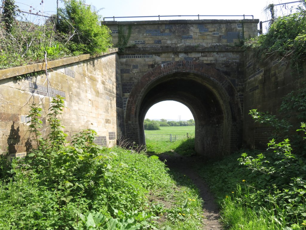 walking under the railway