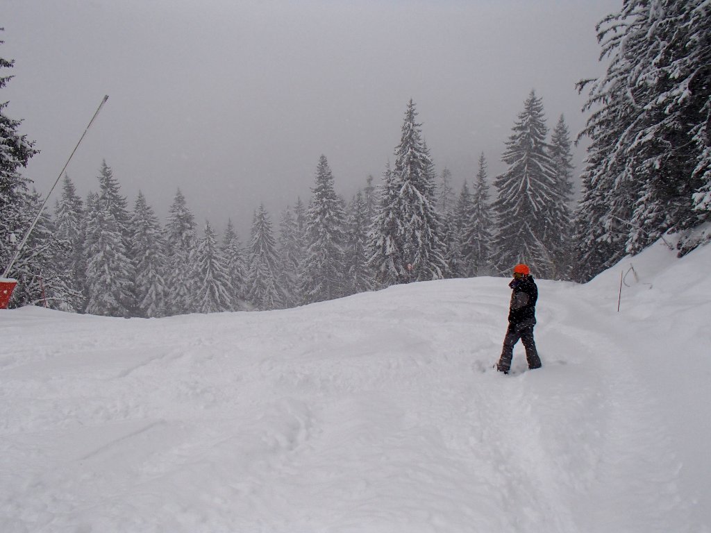 powder on the piste