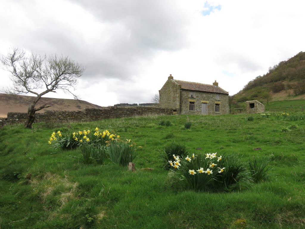 disused farmhouse