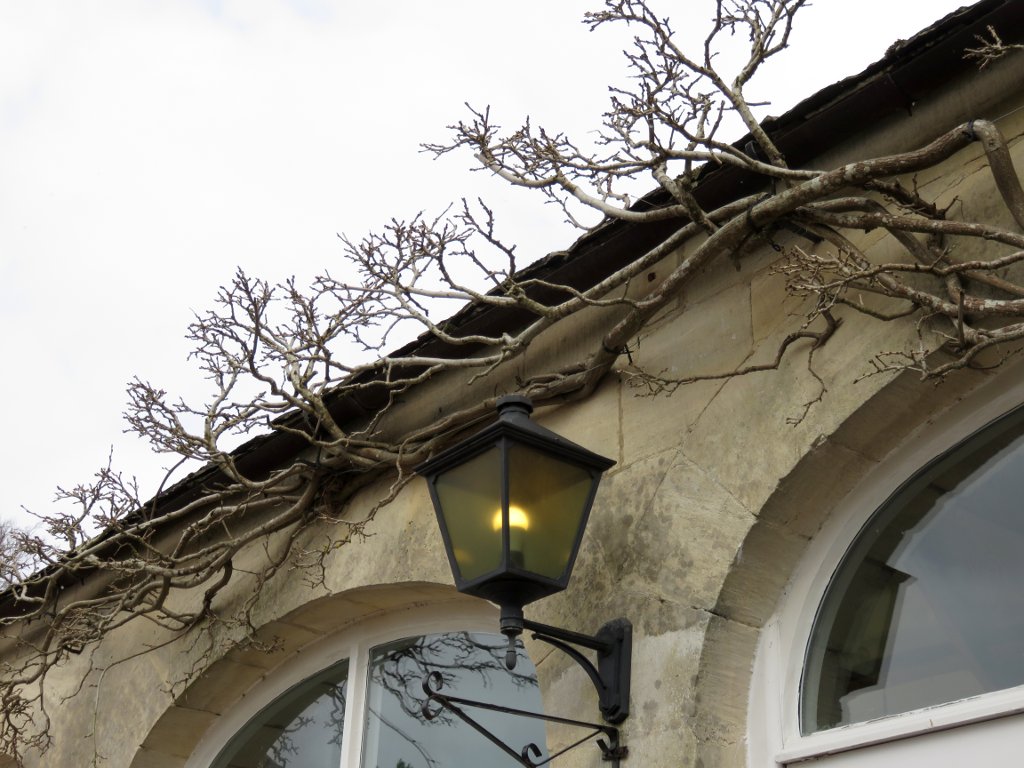 light on the café building