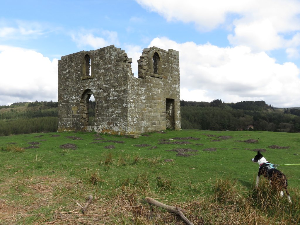 Skelton tower