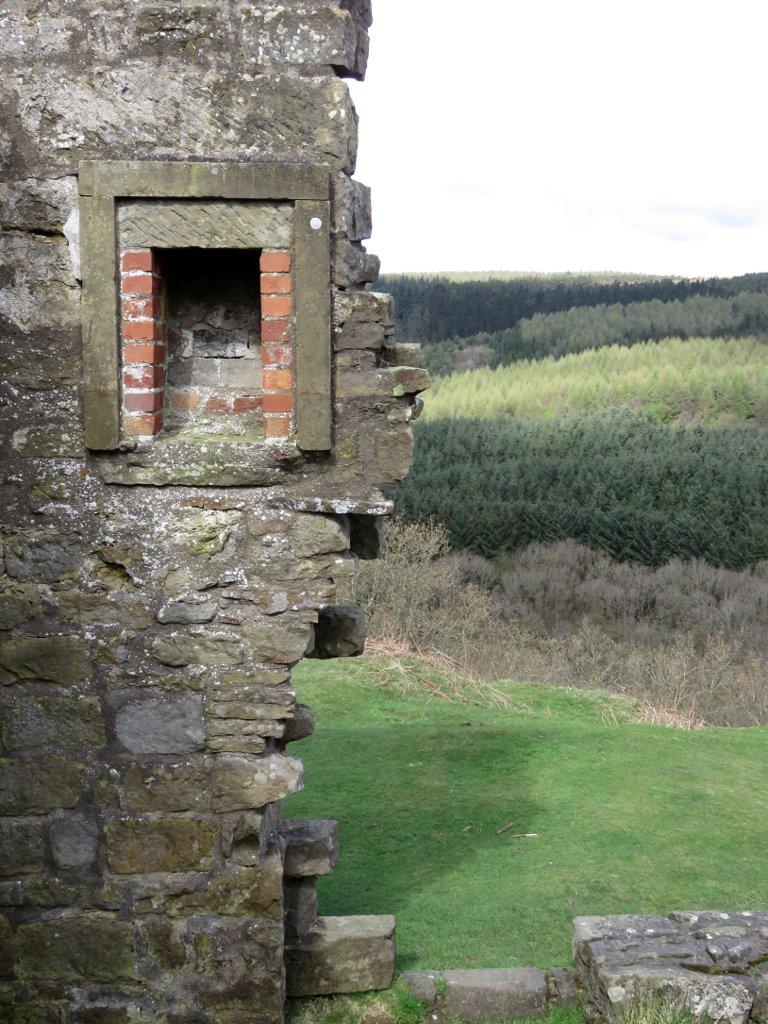 Skelton tower wall and trees