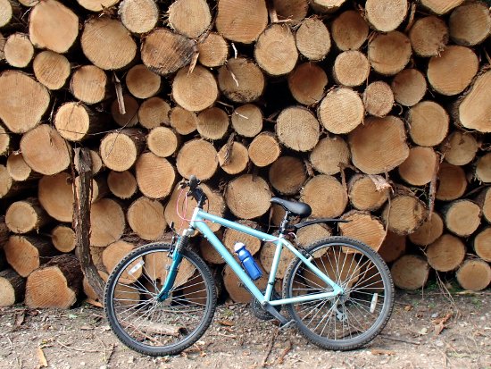 my bike by a pile of logs