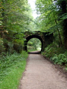 family cycle route