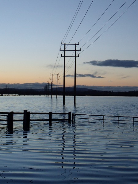 flooded fields