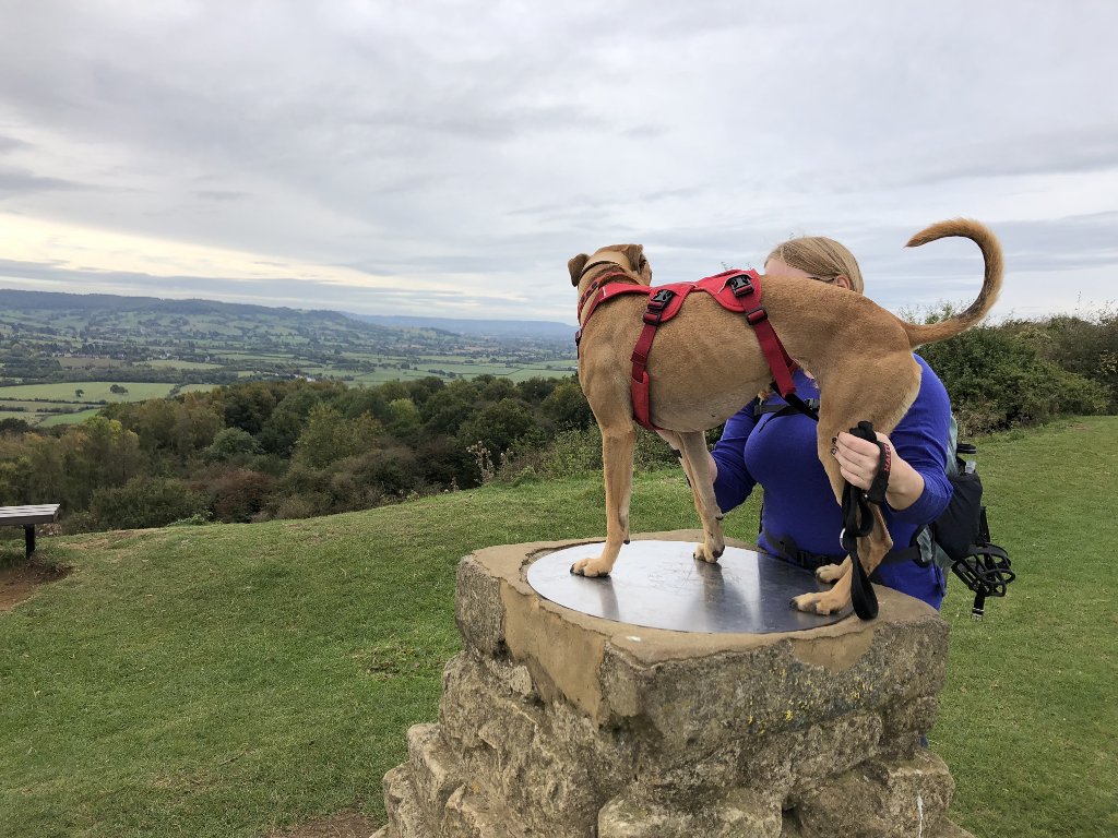 standing on the toposcope