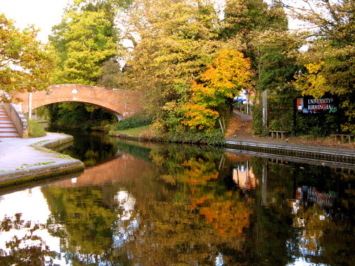 the canal